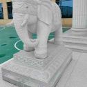 长沙 白麻花岗岩动物异形石雕-大象